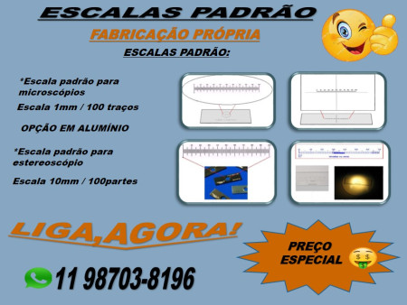 ONDE SE USA A LÂMINA PADRÃO